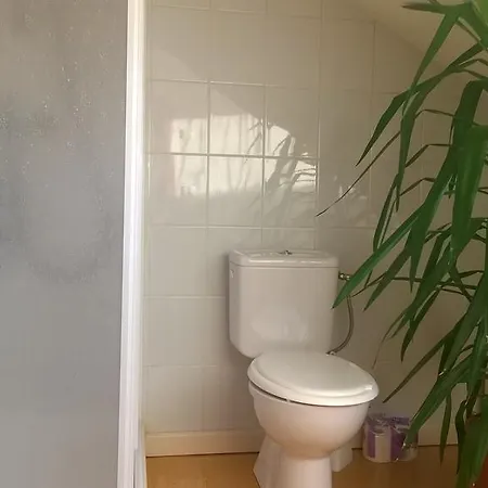 Cheap And Chic Apartment Riga